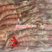 Лангустины с  головой (сухая заморозка) 31-40шт/кг L3