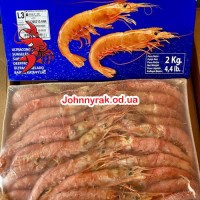Лангустины с  головой (сухая заморозка) 21-30шт/кг L2